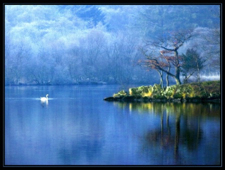 Frosty morning on the lake