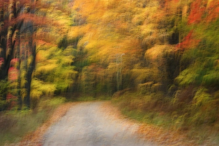 Back Roads of Michigan