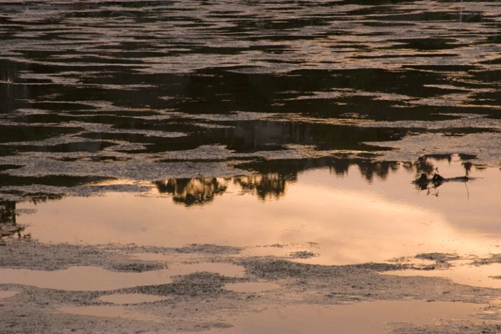 Sunset Reflections 