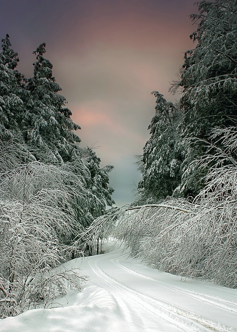 ...a winter drive....
