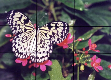 The Rule of Thirds Grid