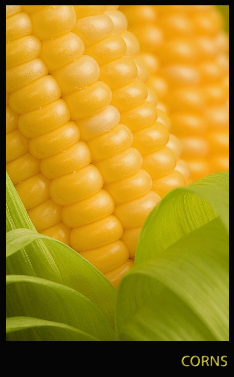 Sweet Corns