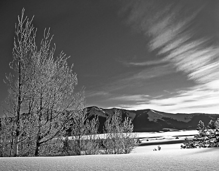 Ice Sculptures - Alturas Lake, ID