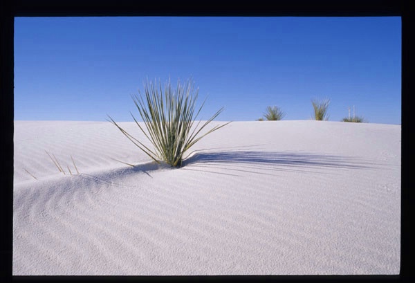 White Sands