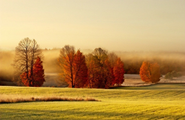 Misty October Morning