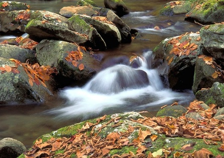 Mountain Stream