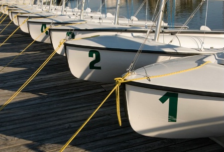Racing Sailboats