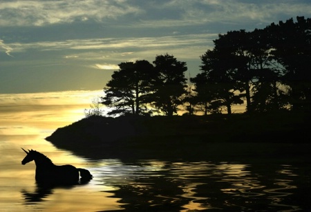 Golden Sunset Combined and reflected