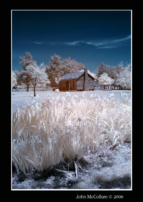 "Infrared Irises"