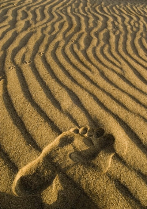 Footprints