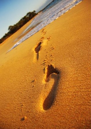 footprints in the sand