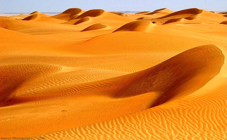 Desert's Waves