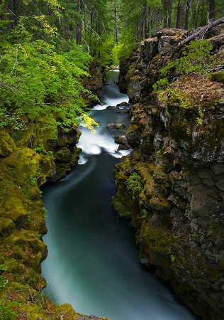 Rogue River Gorge