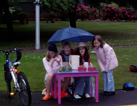 Rainy Day Lemonade Stand (With Flash)