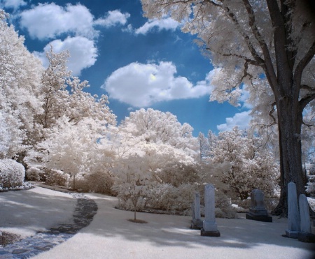 Memorial Garden