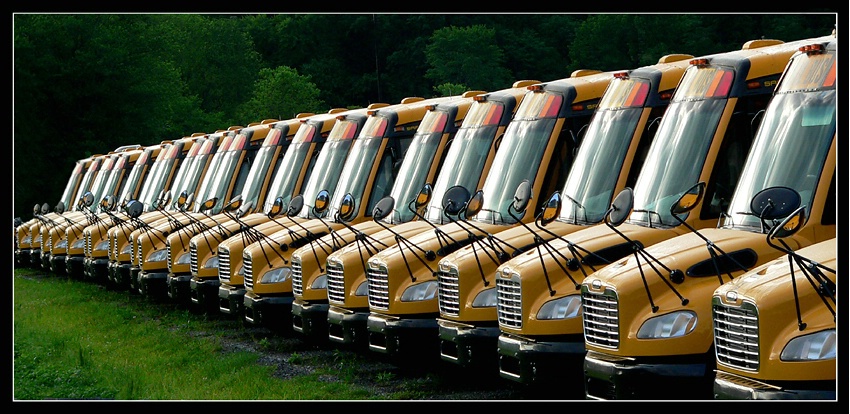 busesbusesbusesbusesbusesbusesbuses