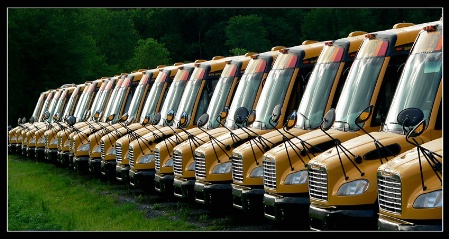 busesbusesbusesbusesbusesbusesbuses