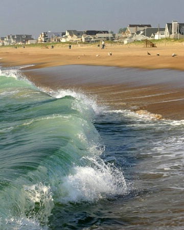 Manasquan Wave