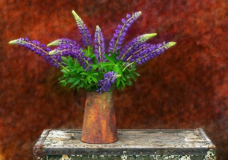 Still Life With Lupine