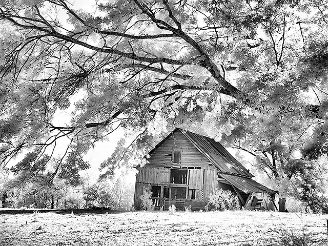 Old Barn on Highway 147, Infrared