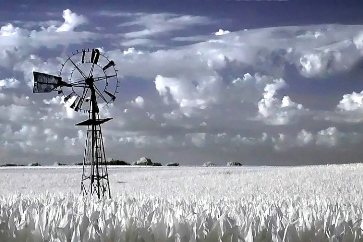 Nebraska Farmland