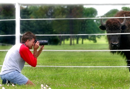 Shooting 'Near and Far'