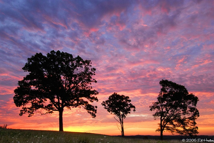 Gettysburg Colors