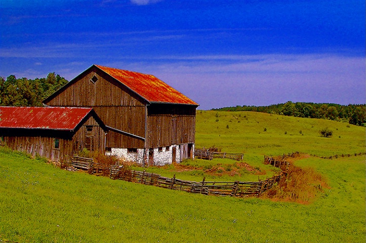 Fence Line