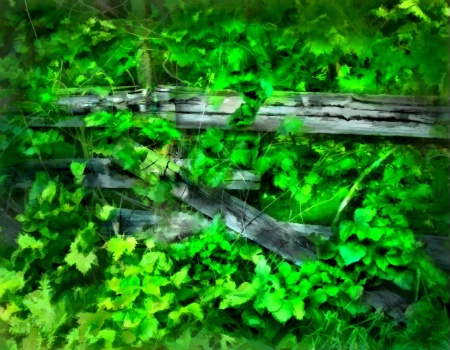 Green Fence