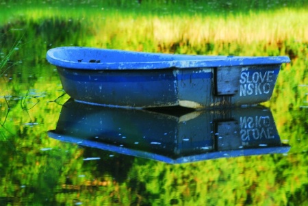 reflecting marsh