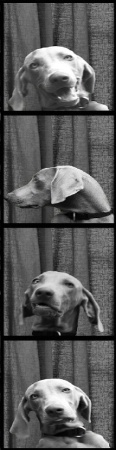 bubby at the photo booth-