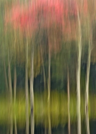 September at Little Bowman Pond