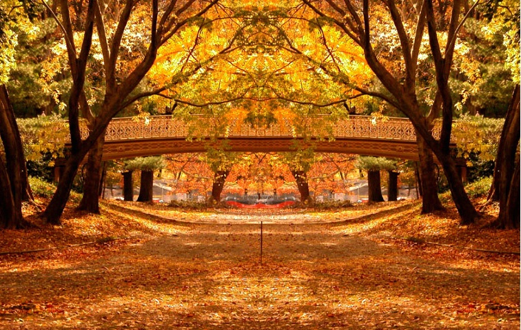 Central Park Bridge