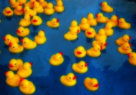 Rubber Duckies