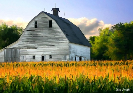 Harvest Time