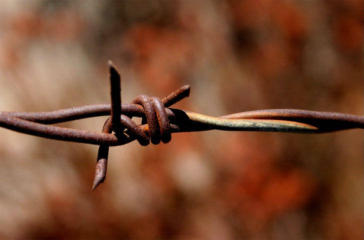 Barbed Wire