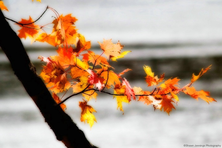 North Carolina Autumn