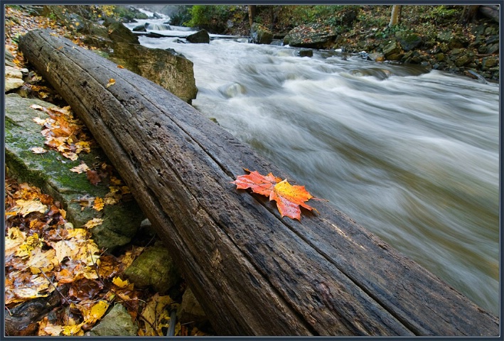 At the Fast River of Fall. 