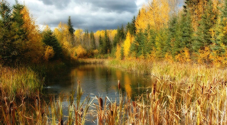 Fall Pond 2