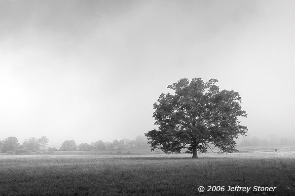 Morning in Cades Cove