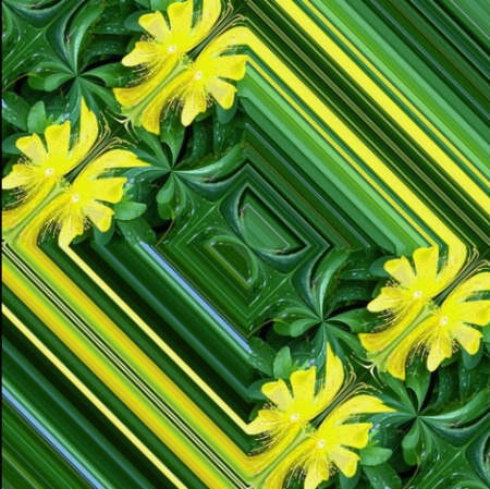 Green And Yellow