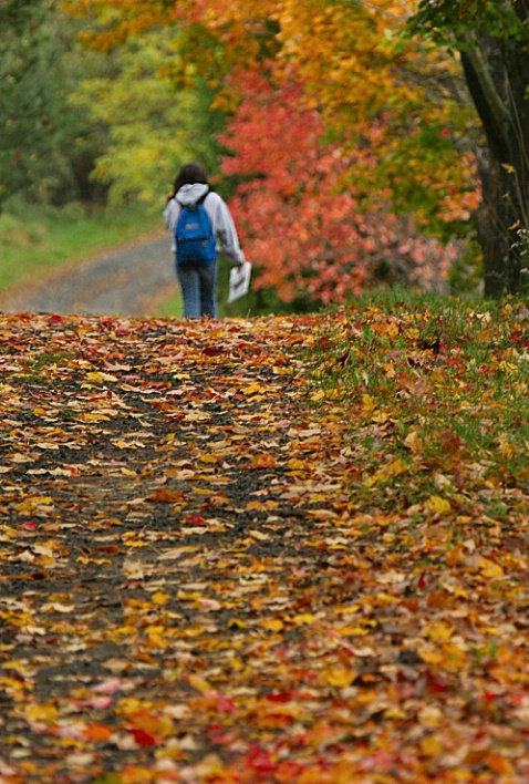 Heading On Down The Road