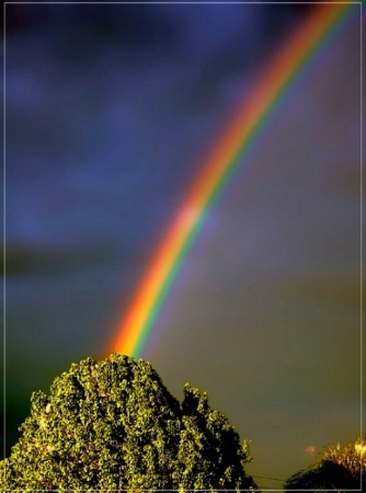 Vivid Colored Rainbow