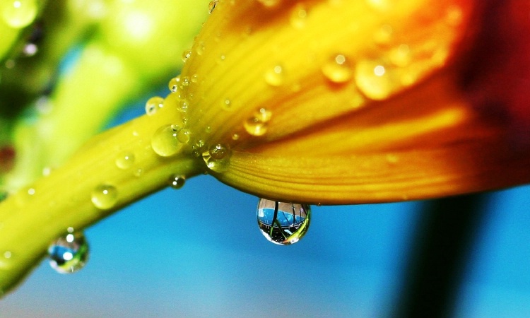 Raindrop reflected