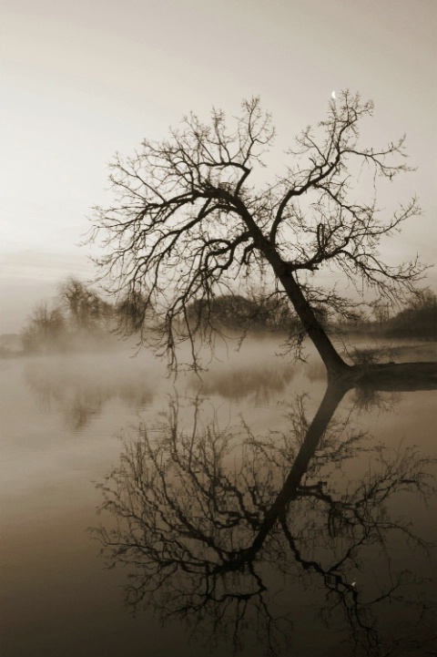 sepia landscape