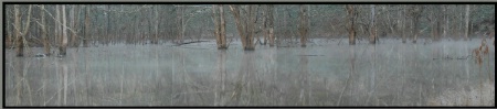 Early Morning Lake in Winter