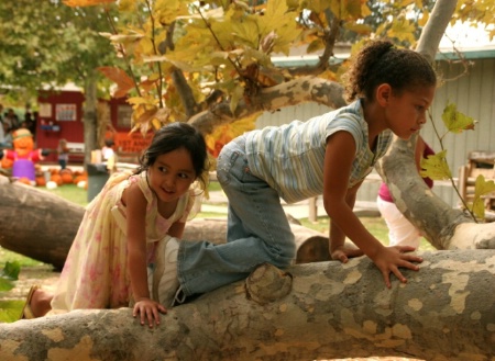 Extra: Follow me
My granddaughters at a pumpkin p