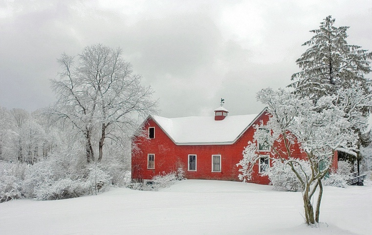 Winter at Brookwood Farm