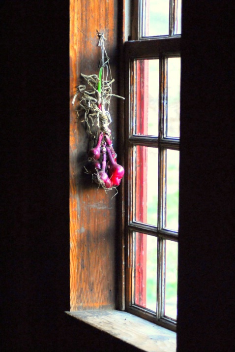 red onions in the window