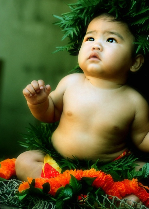 the little hawaiian